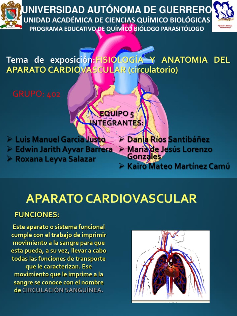 Fisiologia y Anatomia Del Aparato Cardiovascular Electrocardiografia Sistema circulatorio