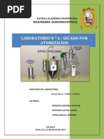 243711942-INFORME-DE-TECNO-ATOMIZACION-docx.docx