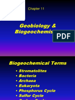 11 Geobiology