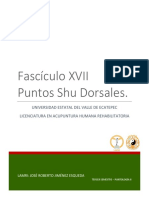 Fascículo XVII. Puntos Shu