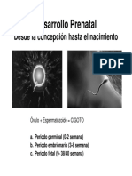Desarrollo_Prenatal.pdf