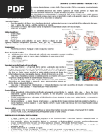 Morfofisiologia Hepática e Hepatites