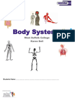 Body Systems Worksheet - Bin