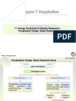 Respiration