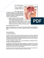 Ultrasonido Vesicoprostatico Resumen Examen