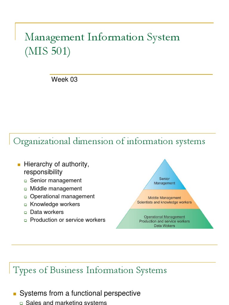 Management Information System (MIS 501) : Week 03 | PDF | Business ...
