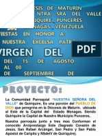 Fiestas en Honor A Nuestra Excelsa Patrona Virgen Del Valle