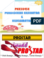 Program Adhoc Prostar