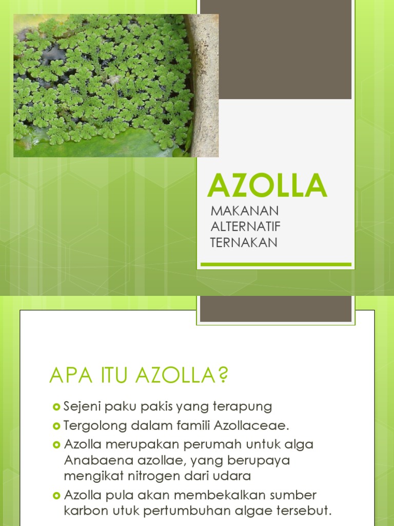 AZOLLA | PDF