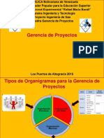 Gerencia de Proyectos D