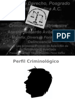1.8 Perfil Criminológico