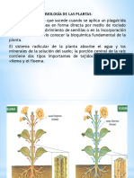 Quimia Ambiental