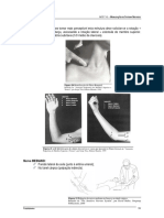 SebentaTNeural 09-10 ESTSP-Parte2 PDF