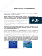 Animale Salbatice Si Domestice PDF
