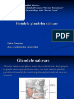 226167094-Prelegere-5-Fistulele-Glandelor-Salivare.ppt
