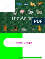 Group of Animals