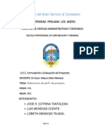 perfilproyecto (17)