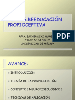 Reeducación Propioceptiva