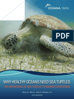 Why Healthy Oceans Need Sea Turtles PDF