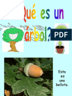 QUE ES UN ARBOL