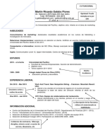 modelos-de-cv (1)