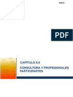 8.0 Consultora y Profesionales