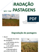 DEGRADAÇÃO DE PASTAGENS: CAUSAS E RECUPERAÇÃO