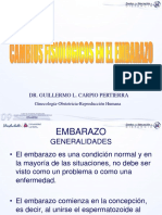 Cambios Fisiologicos en El Embarazo