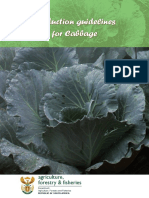 Prod Guide Cabbage PDF