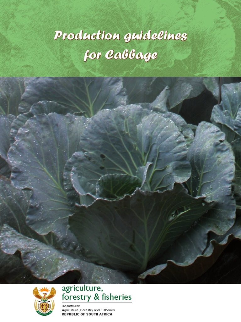 Prod Guide Cabbage.pdf Cabbage Fertilizer