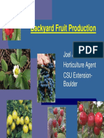 Fruit Production