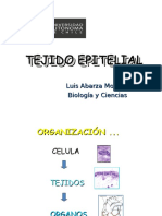 TEJIDO EPITELIAL