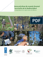 6317manual de Mejores Prácticas PDF