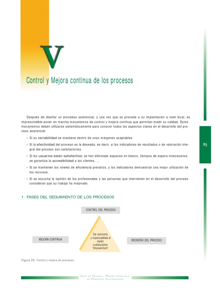 Manual de Control y Mejora Continua de Los Procesos PDF | PDF ...