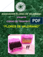 Afdv-Curso FDV1