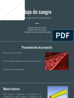 Flujo de Sangre