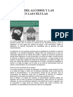 Efectos Del Alcohol y Las Drogas en Las Células