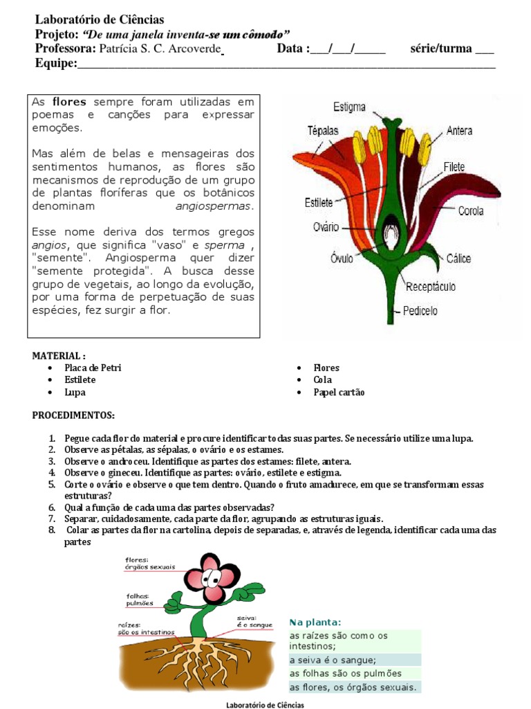 Partes e Funções das Flores | PDF | Flores | Botânica
