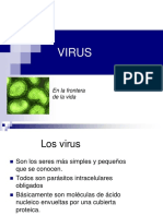 Virus