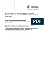 2014 Hoyos Controls of Carbon Turnover in Tropical Peatlands