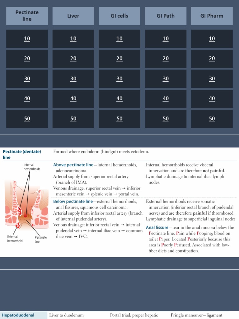 Pectinate Line Liver GI Cells GI Path GI Pharm PDF