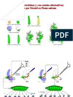 Clase 2 Mendelismo y mas-2015.pdf