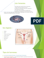 Sistema reproductor femenino.pptx