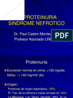 72 Proteinuria Sindromenefrotico 110318182525 Phpapp01