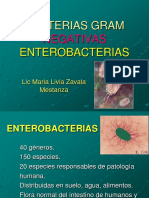 Enterobacterias I