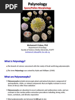 Interpreting Pollen Diagrams in Palynology | PDF