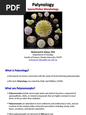 Mohamed K Zobaapalynology Spore Pollen Morphology - 