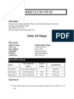 Curriculum Vitae: Irfan Ali Magsi