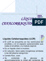 Liquido Cefalorraquídeo-Cisternas