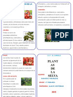 Diptico Plantas Medicinales de La Selva
